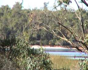 Bush and Water supply. Image by Information for Action, a website for conservation and environmental issues offering solutions