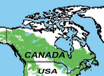 Canada map and forest. Image by Information for Action, a website for conservation and environmental issues offering solutions