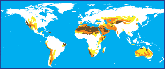 Desertification and soil erosion. Image by Information for Action, a website for conservation and environmental issues offering solutions