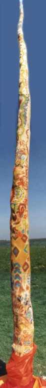 England maypole and forests - new south walesl, australia. Image by Information for Action, a website for conservation and environmental issues offering solutions