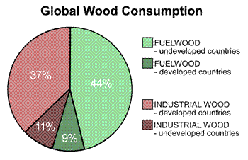 Graph of wood consumption. Image by Information for Action, a website for conservation and environmental issues