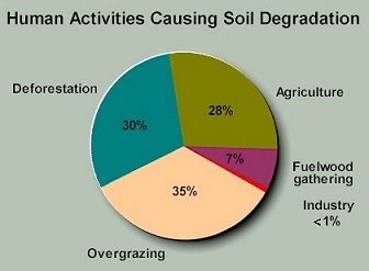 Soil degradation graph and soil erosion. Image by Information for Action, a website for conservation and environmental issues offering solutions