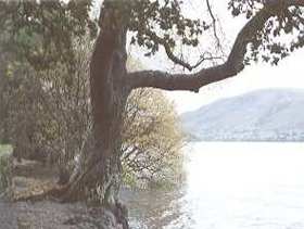 Lake district and Water supply. Image by Information for Action, a website for conservation and environmental issues offering solutions