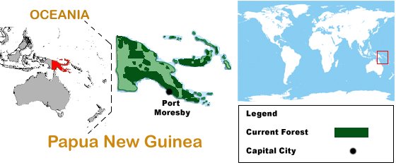 forests and forests of papua new guinea. Image by Information for Action, a website for conservation and environmental issues offering solutions