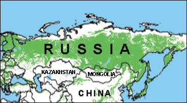 Russia map and forests russia. Image by Information for Action, a website for conservation and environmental issues offering solutions